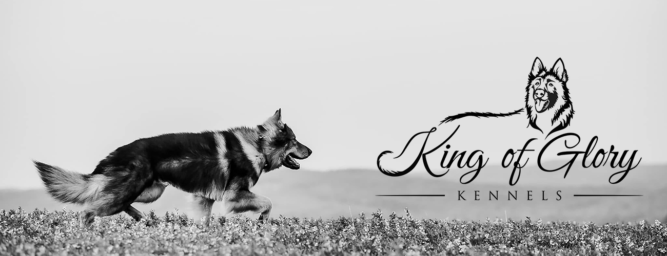 King of Glory Kennels